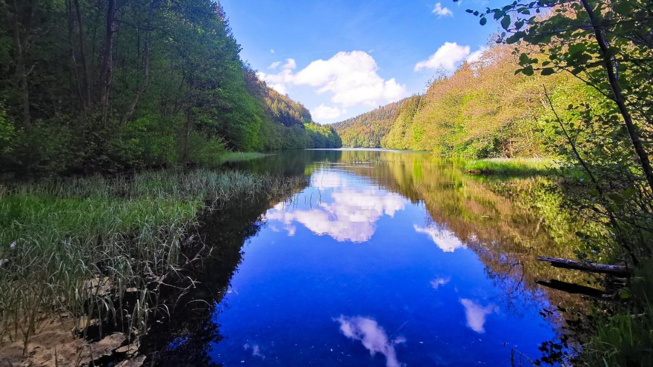 Familien-Hotel Am Traenkbachtal Фрауенвальд Екстер'єр фото