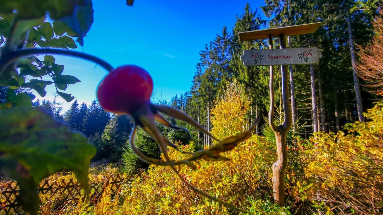 Familien-Hotel Am Traenkbachtal Фрауенвальд Екстер'єр фото