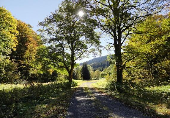 Familien-Hotel Am Traenkbachtal Фрауенвальд Екстер'єр фото